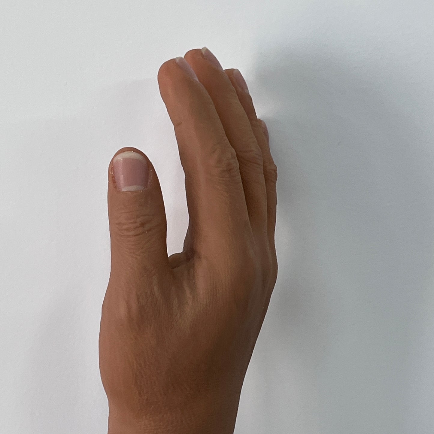 Customized Palm Prosthesis - Blackish