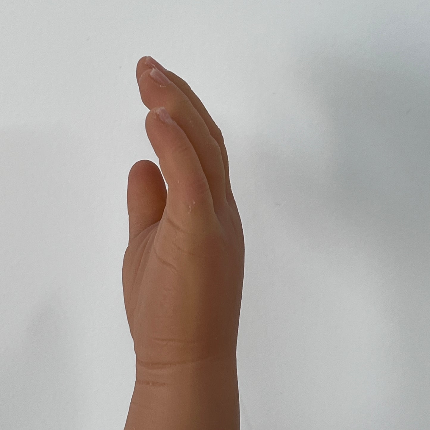 Customized Palm Prostheses - Rounded