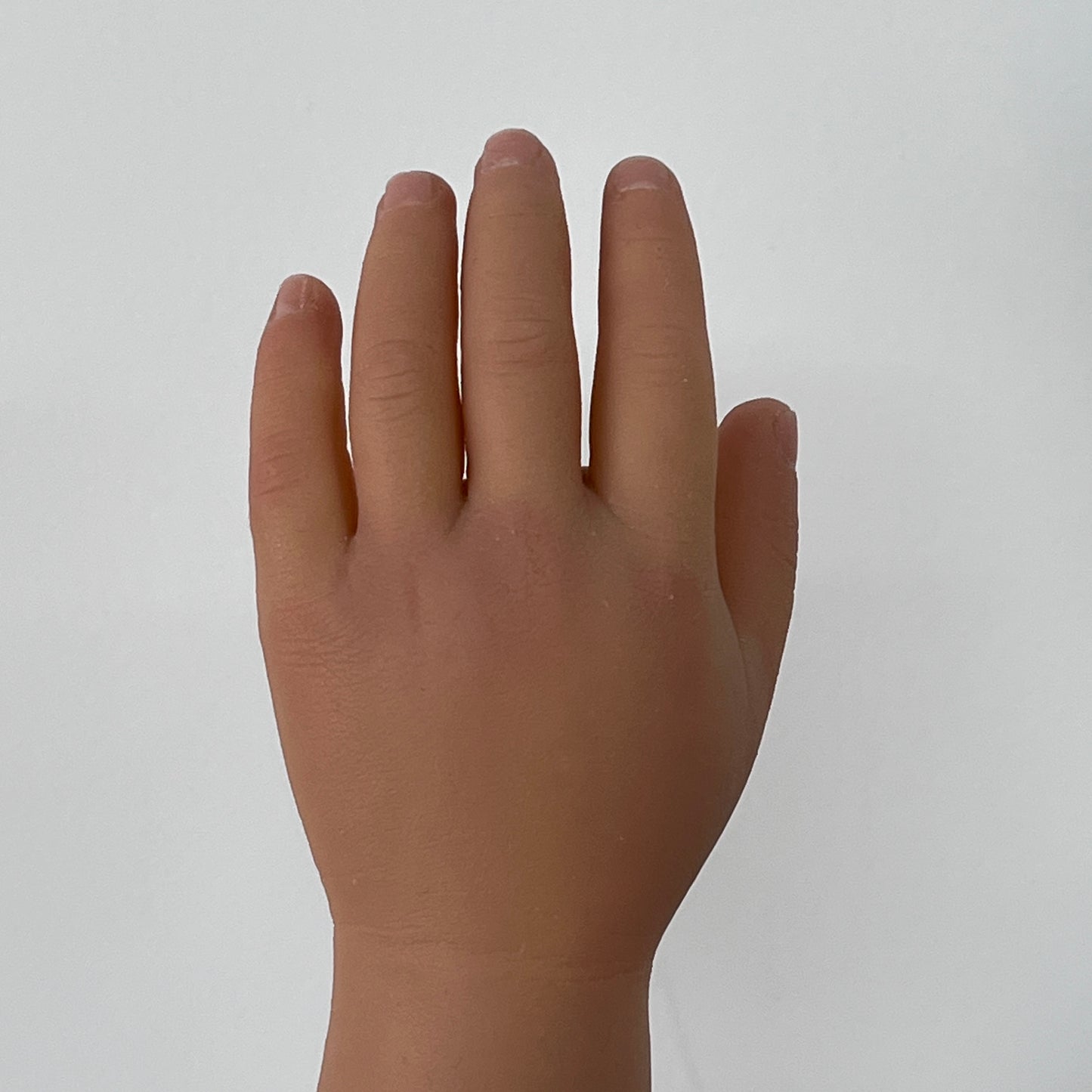 Customized Palm Prostheses - Rounded