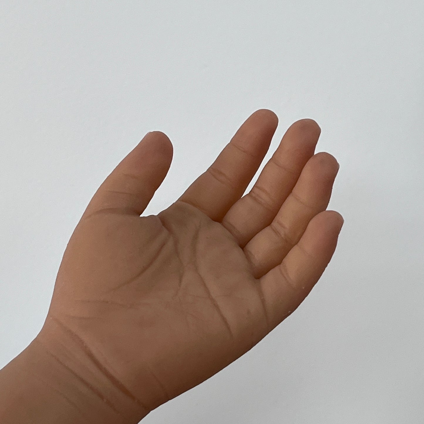 Customized Palm Prostheses - Rounded